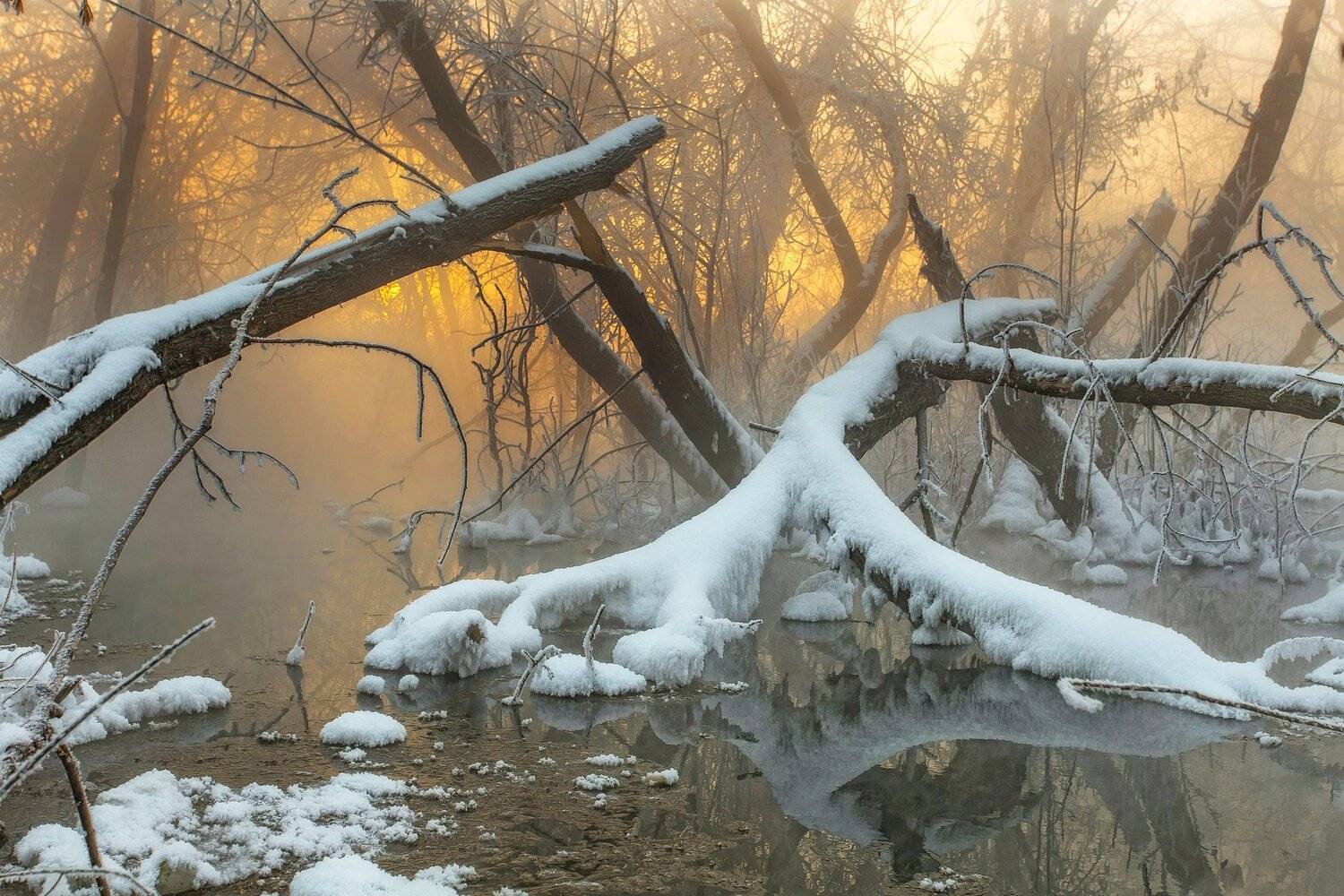 , Павел Сагайдак