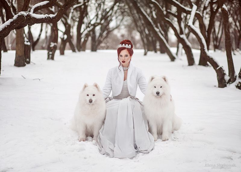 север, собаки, маламут, снежная королева, зима, зимняя сказка, корона, белая королева, бисер, снег, модель, природакрасивая девушка, идеи для фотосессиии зимой Зима фото превью
