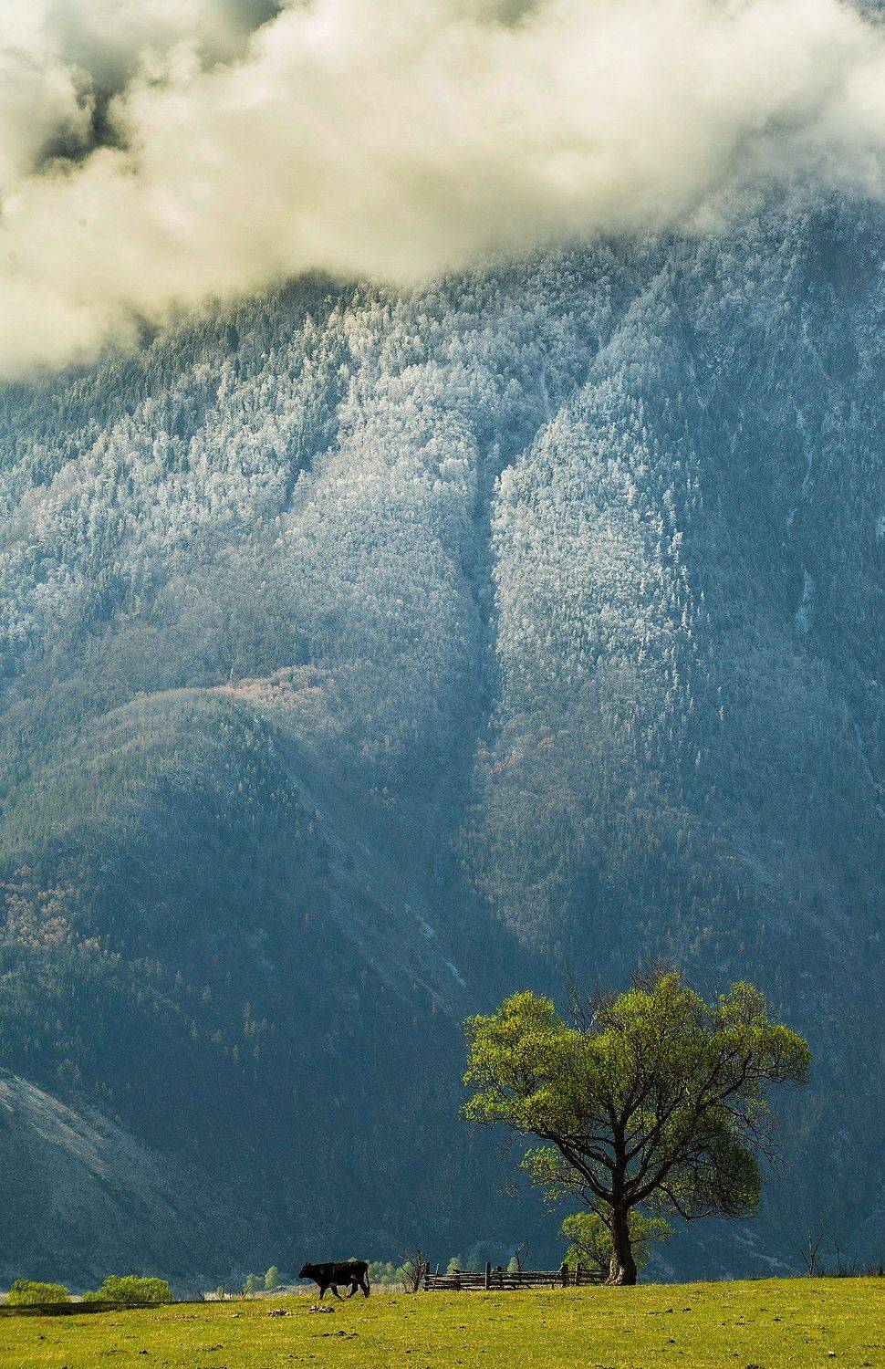 , Орлов Михаил