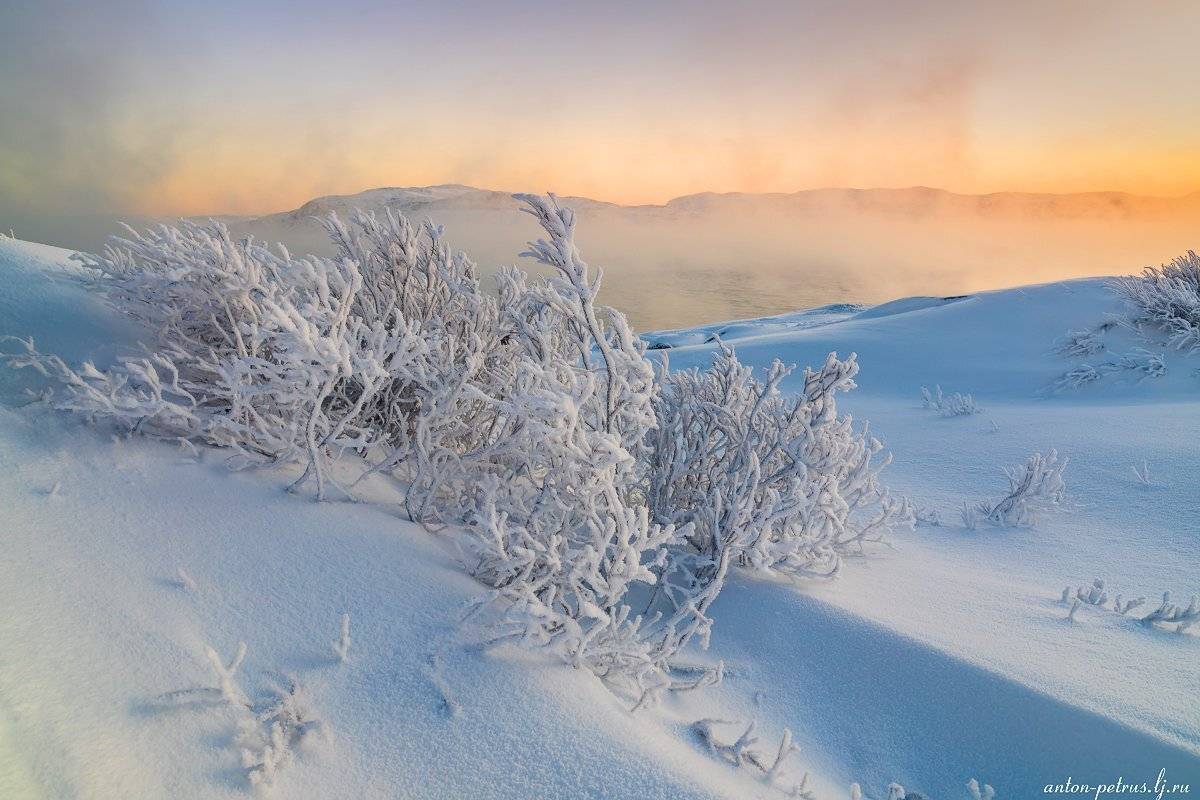 териберка, зима, море ,снег, зима, рассвет, Антон Петрусь