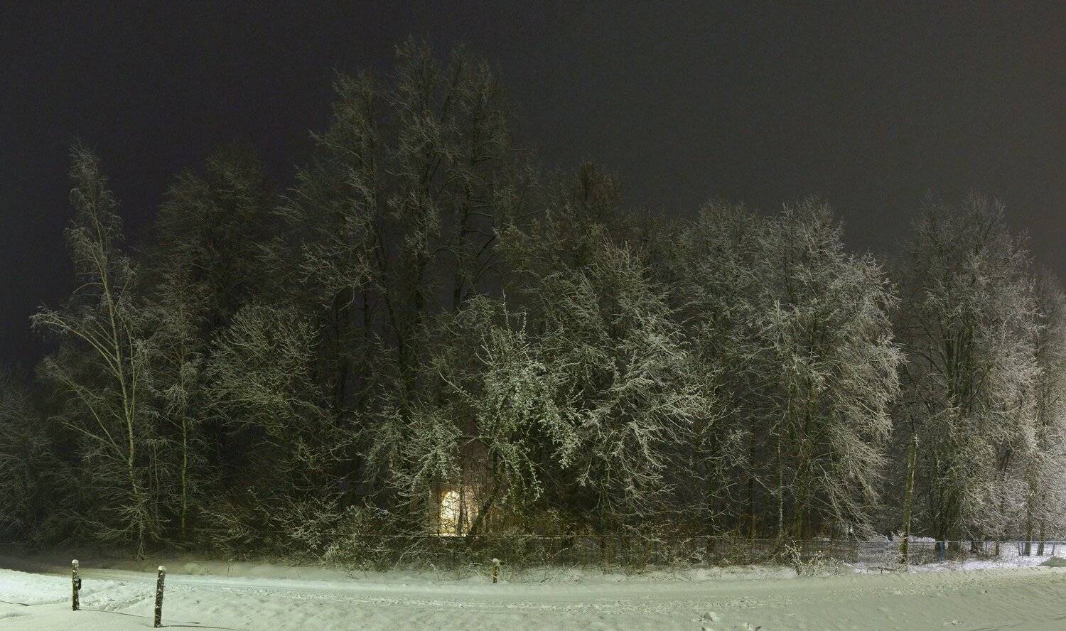 , Сергей Седов