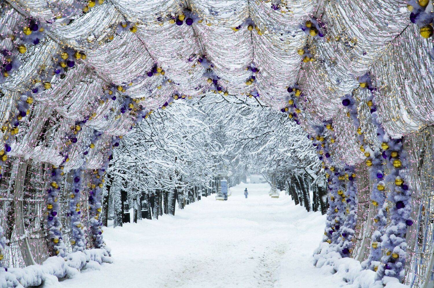 Москва, Тверской бульвар, зима, Новый год, Svetlana Khromova