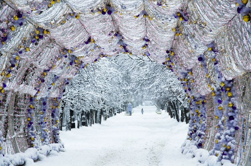 Москва, Тверской бульвар, зима, Новый год На Тверском бульваре фото превью