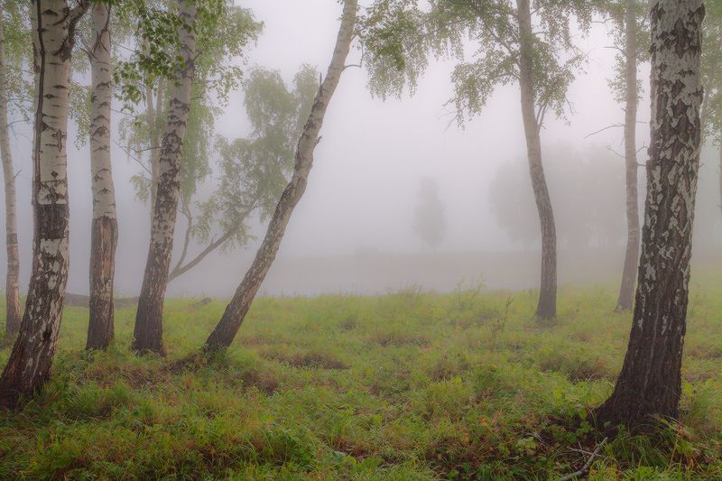 Продолжение августа фото превью