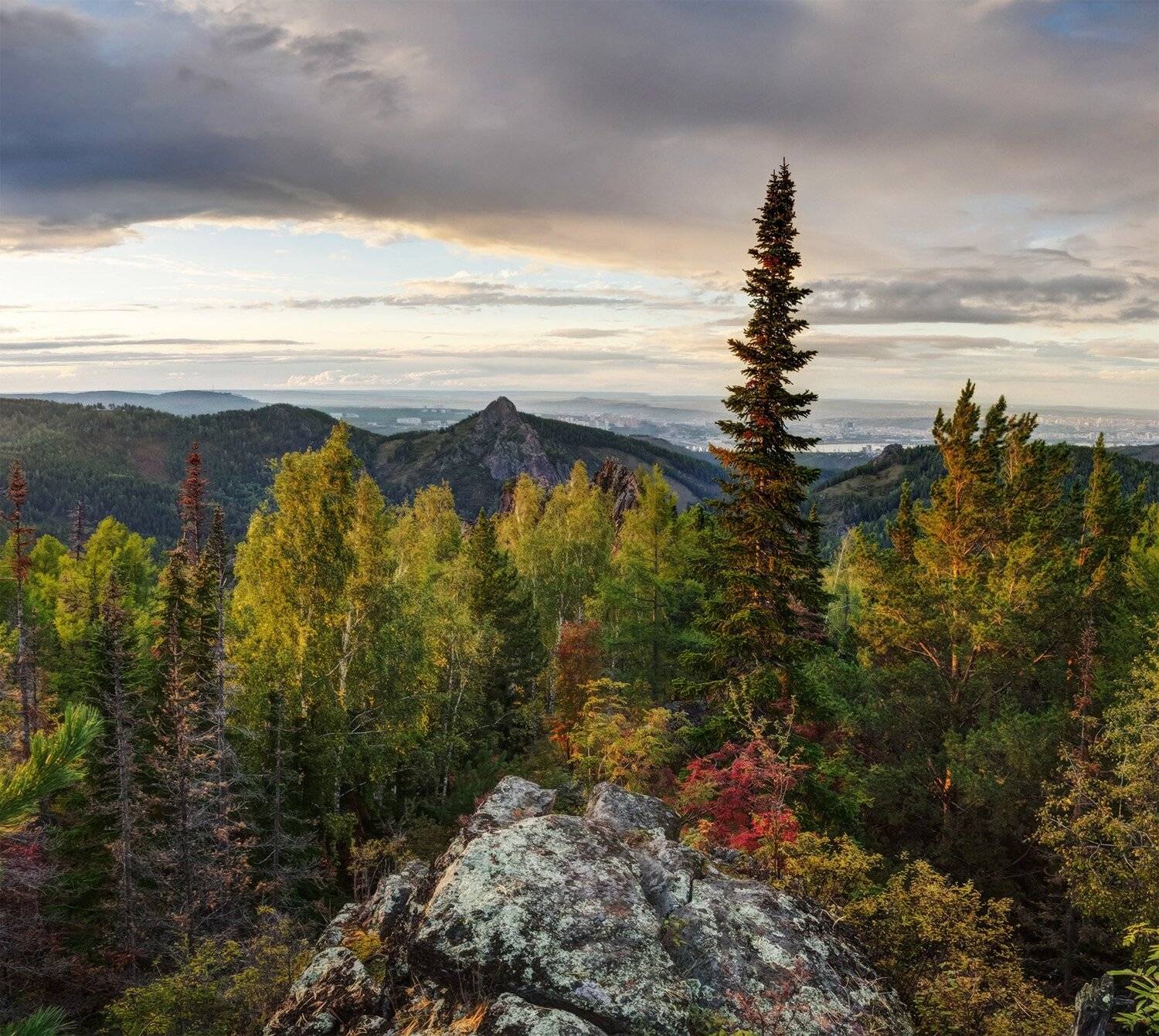 , Лещёнок Александр