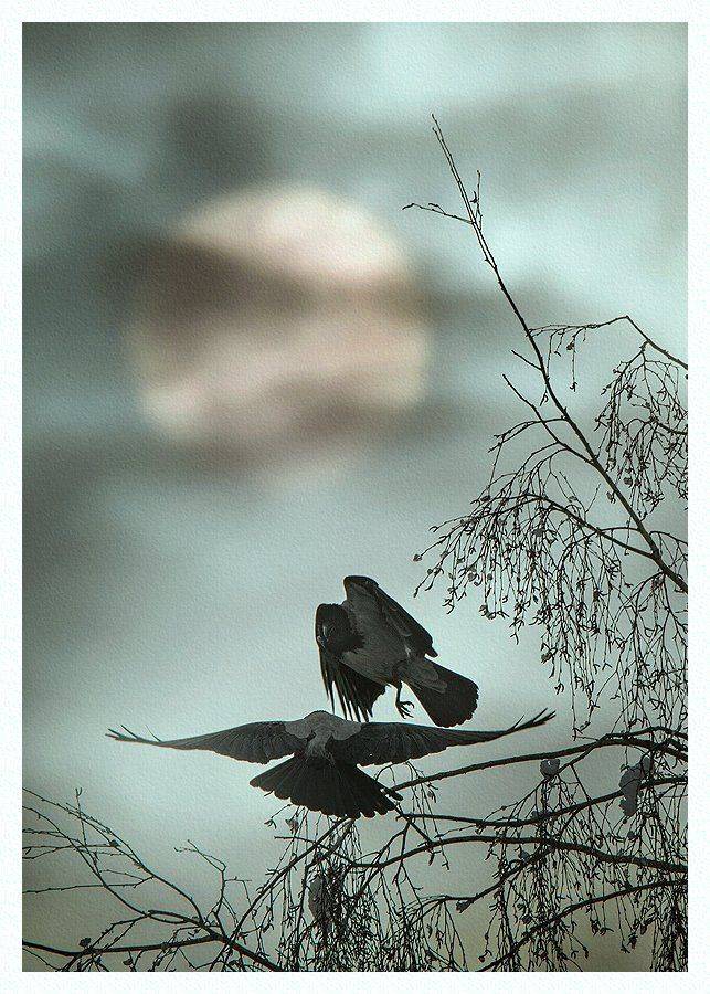 , Валерий Субачев