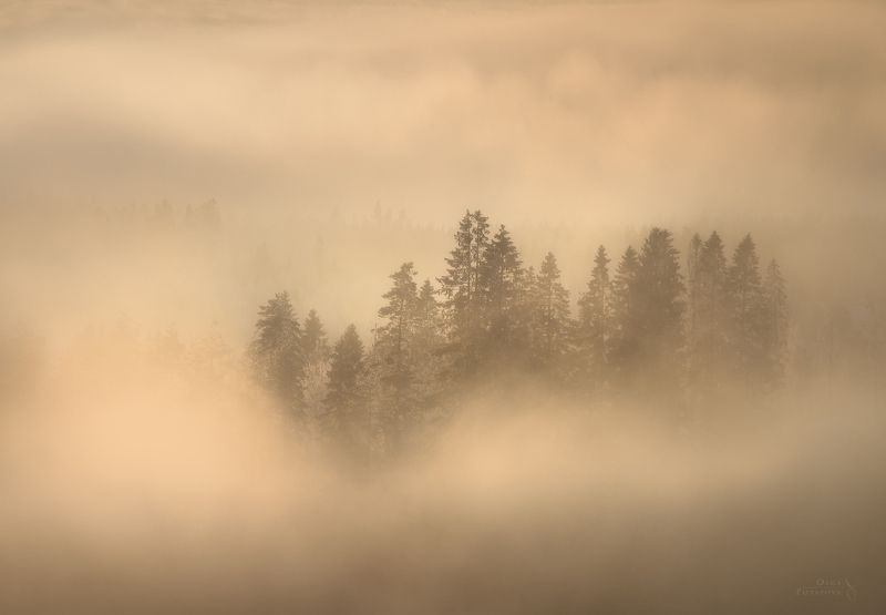 Зимний туман... фото превью