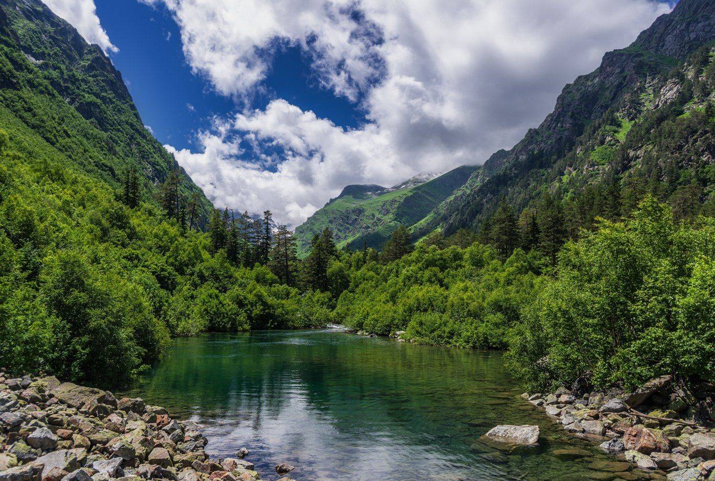 , Игорь Мелекесцев