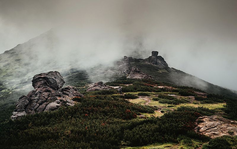 карпаты, смотрич, ушастый камень, поп иван Первый подъем фото превью