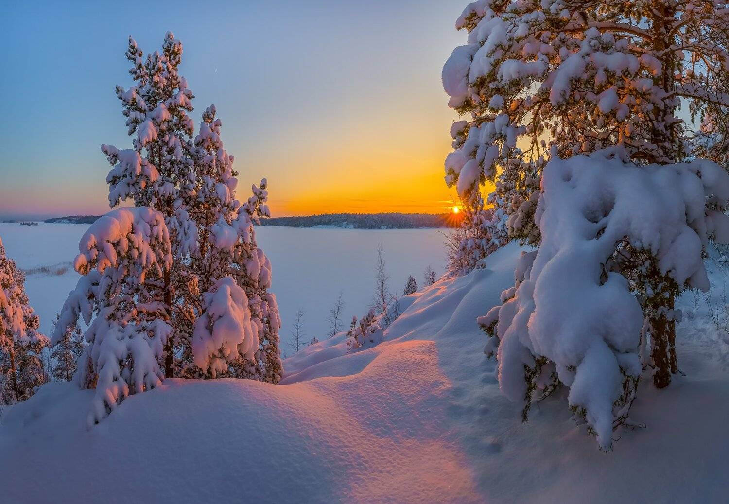ладожское озеро, ленинградская область, остров, зима, снег, фототур, закат, солнце, сосны, деревья,, Лашков Фёдор
