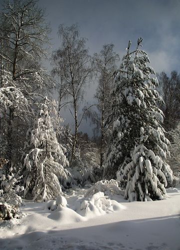 В феврале