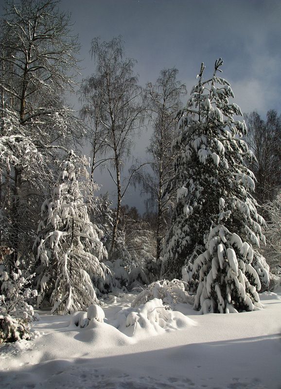 сергей алексеев, пейзаж В феврале фото превью