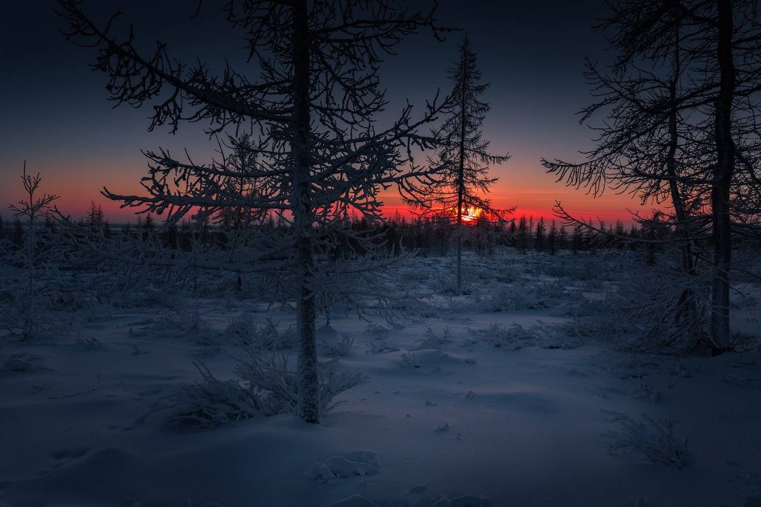 , Евгений Кужилев