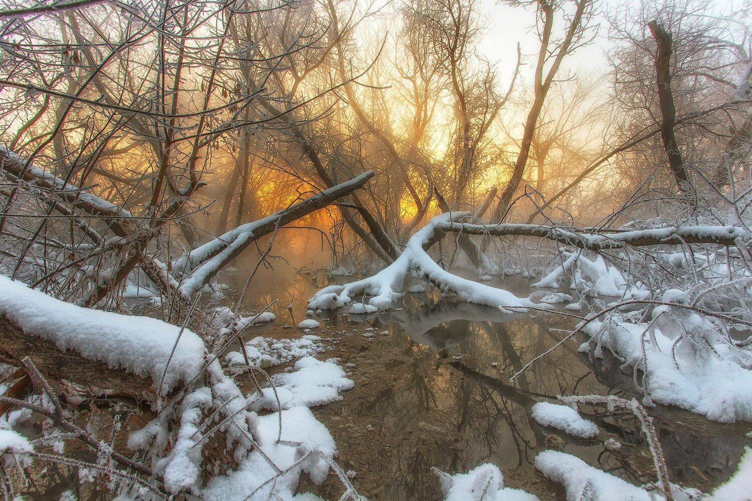 , Павел Сагайдак