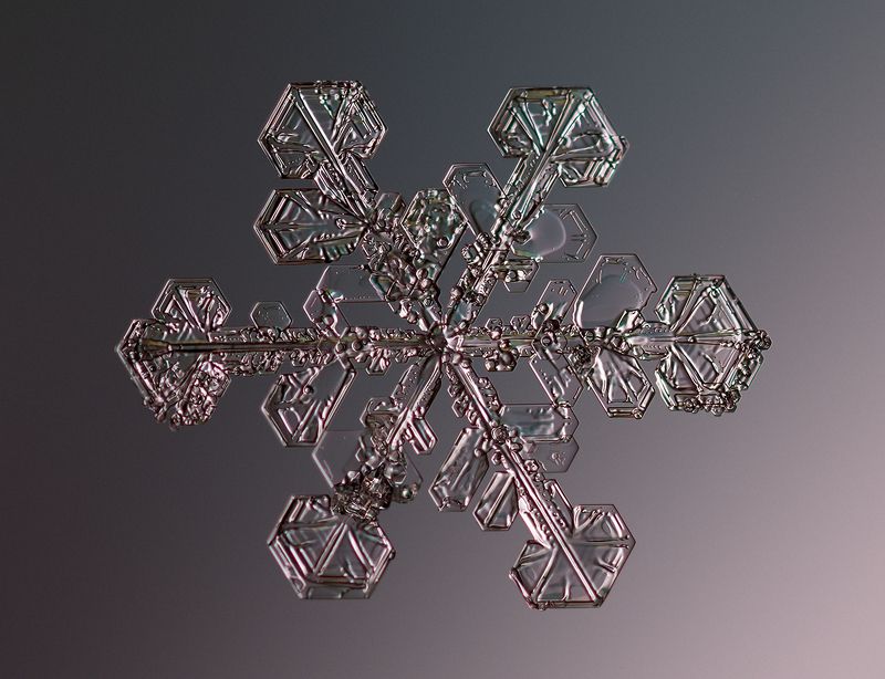 * фото превью