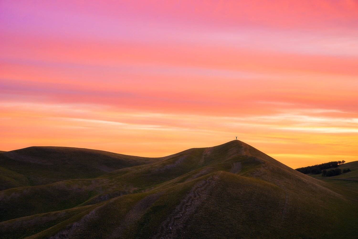 , Михаил Туркеев