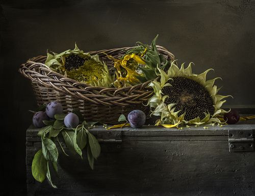 Подсолнечник и сливы