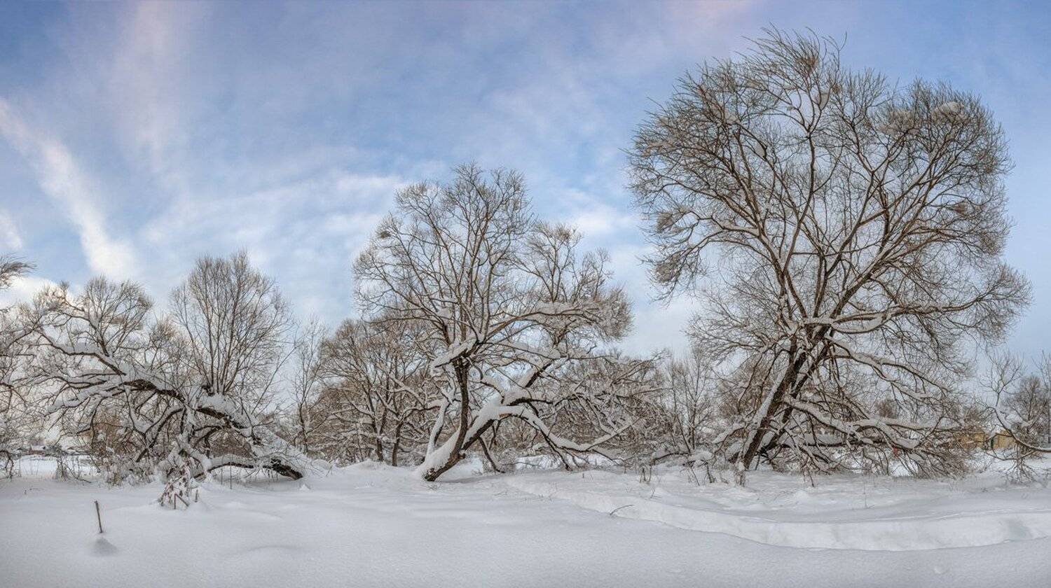 , Николай Андреев
