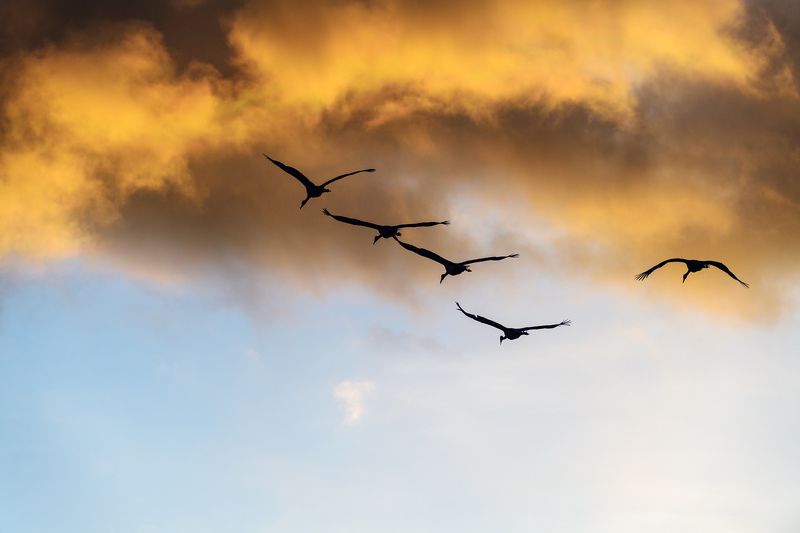 Fly to the sky фото превью