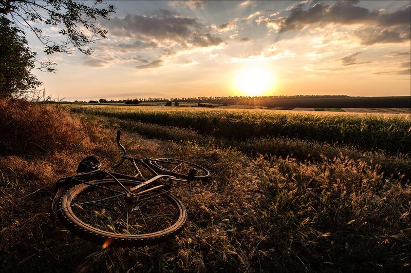 Старый друг  фото превью