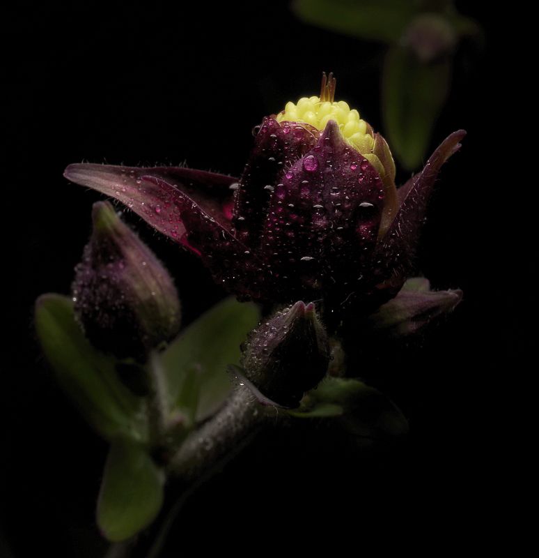 Состояние фото превью