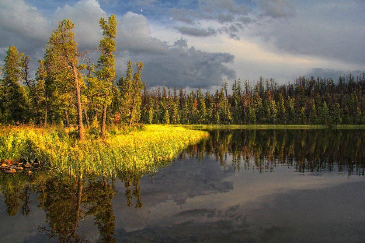 , Ольга Челдыкова