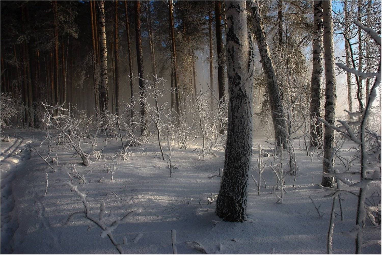 , Кондратьев Алексей
