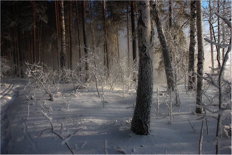 Про оттенки серого... фото превью