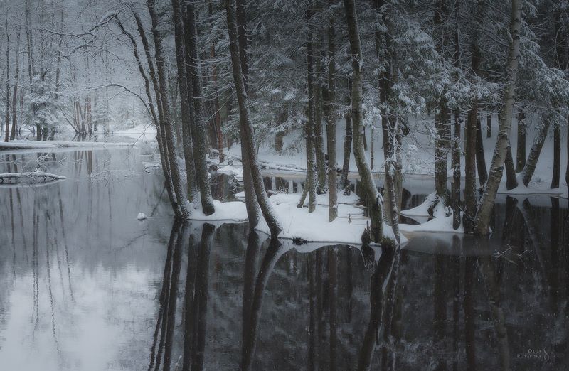 река, юля-йоки, юляйоки, ильичёво, ленинградская область, отражения, зима, снегопад, деревья, монохром Юля-йоки фото превью