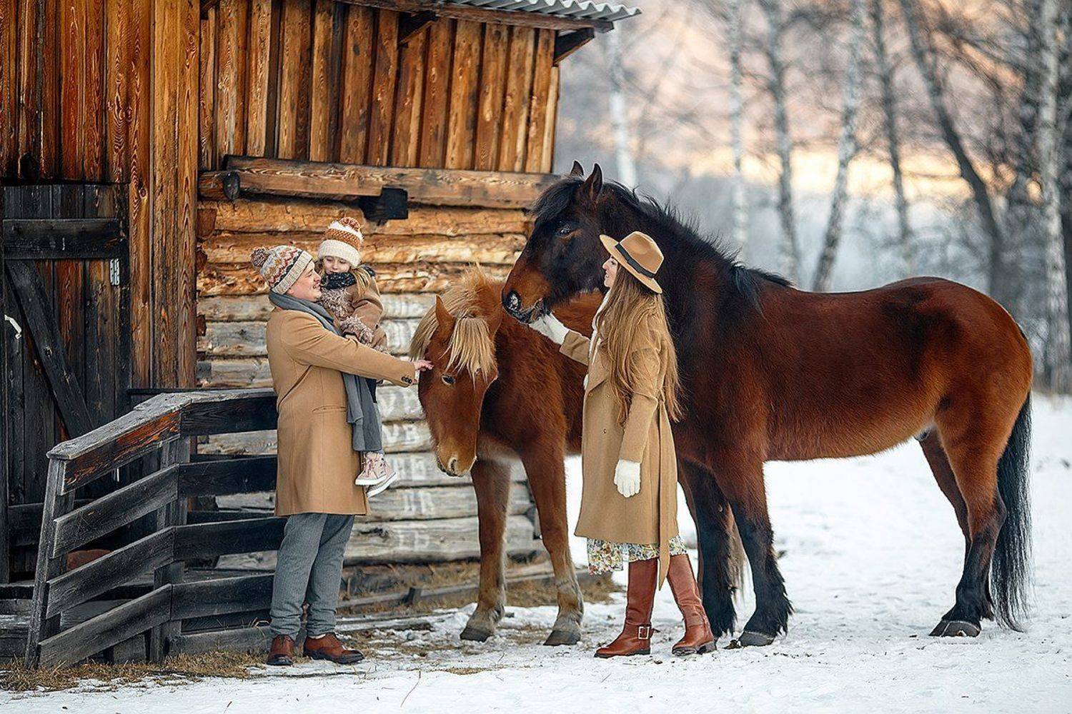 лошади, семья, природа, дети, кони, алтай, горы, Татьяна