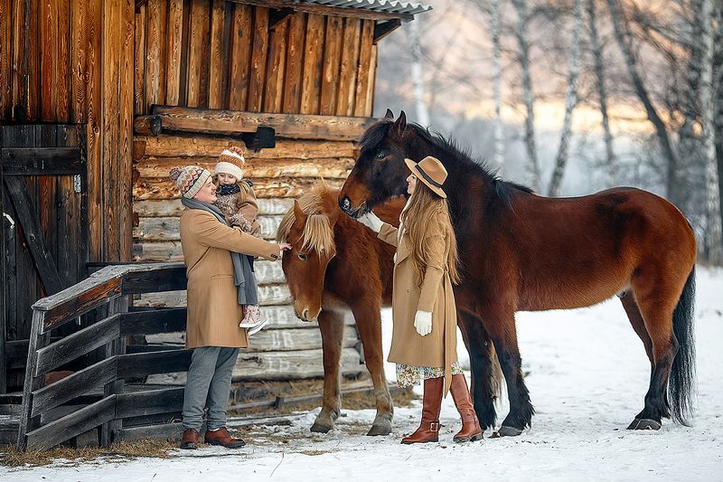 лошади, семья, природа, дети, кони, алтай, горы **** фото превью