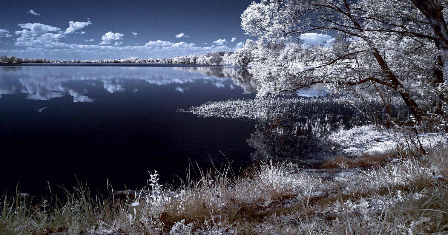 infrared,ик-фото,инфракрасное фото,инфракрасная фотография,пейзаж,природа,беларусь,весна, Sixten ( Сергей )
