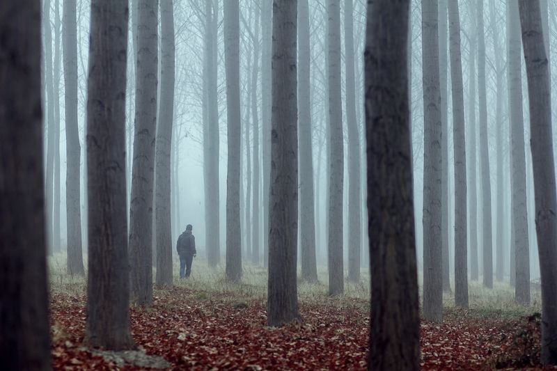 lost фото превью