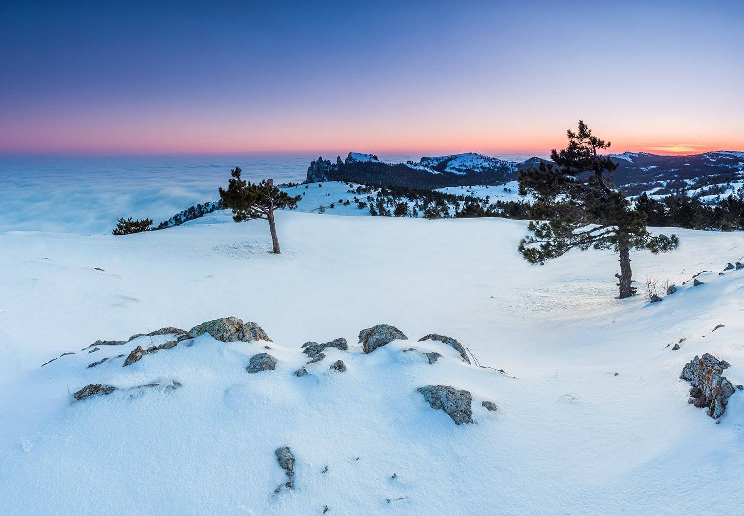 , Станислав Савицкий