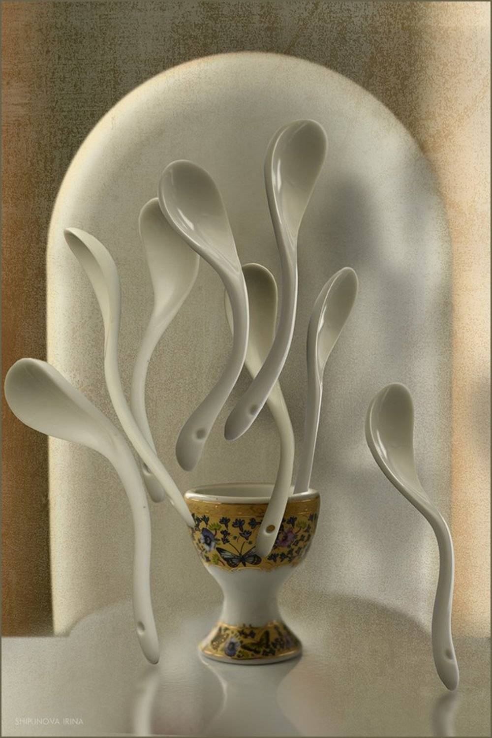 , Шипунова Ирина