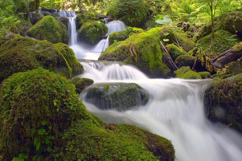 ручей каскад Ручей. фото превью