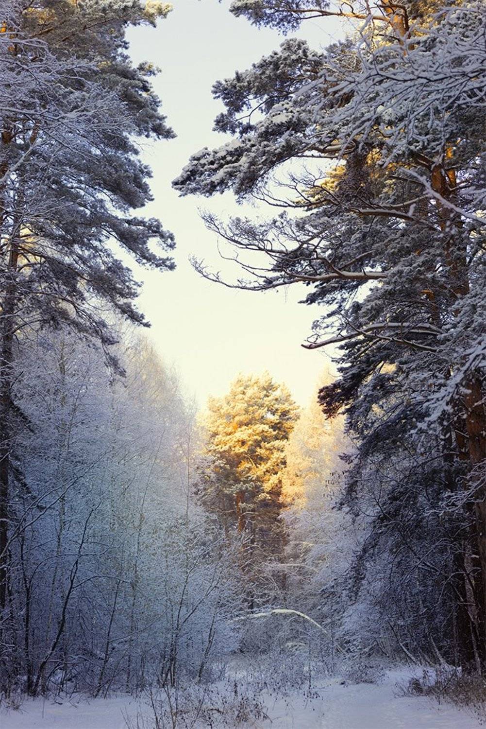 , Andrew Gnezdilov