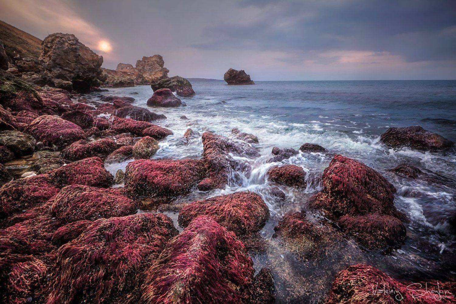 , Валерий Шейкин