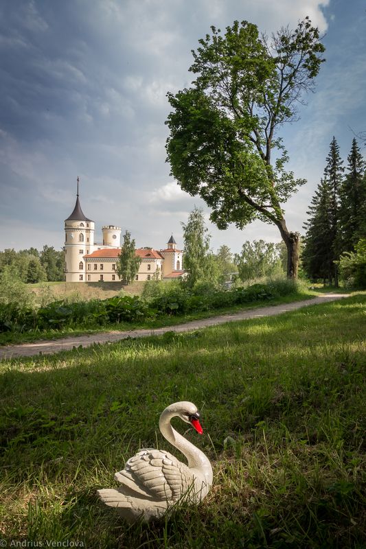 Swan in front of Bip Castle фото превью