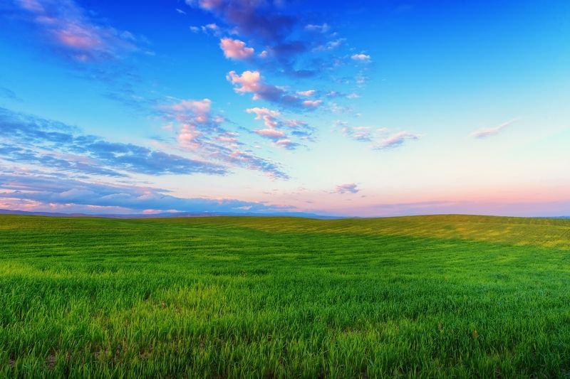 Весенние поля Киргизии фото превью