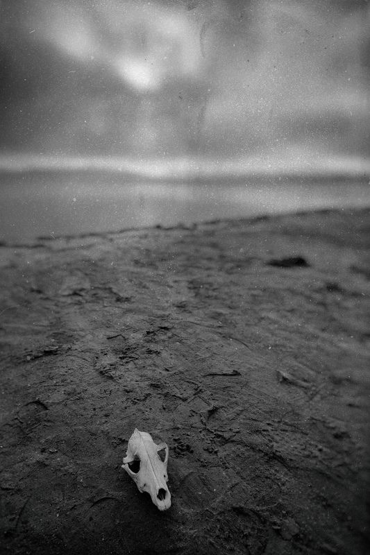 The memory of you фото превью