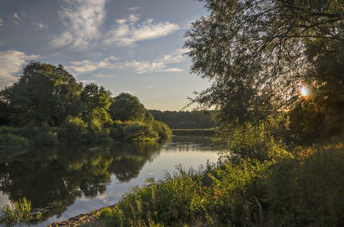Вечерний свет