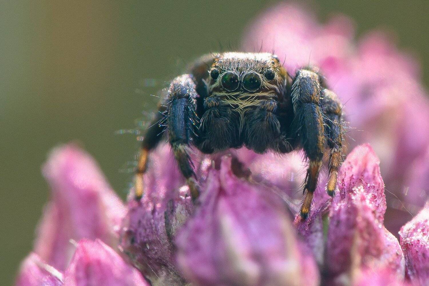 , Кузнецов Дмитрий