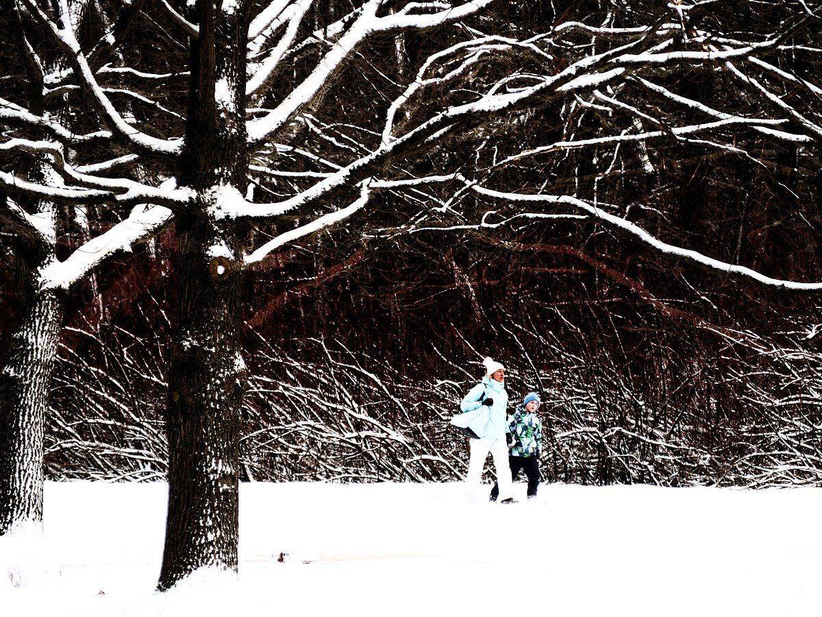 , Штабнов Юрий