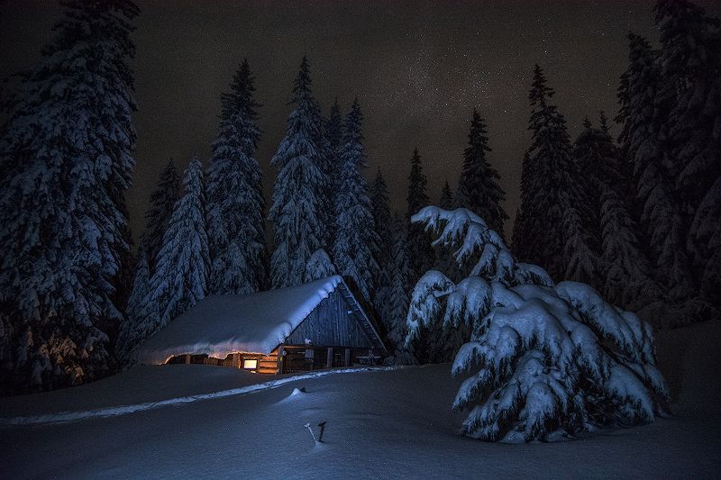 Под морозными звездами фото превью