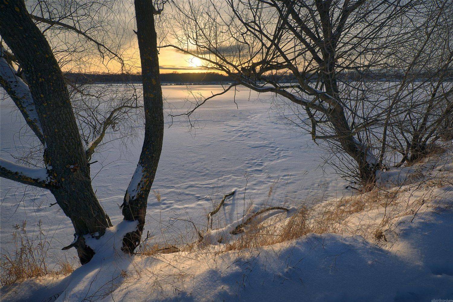 #снег #пейзаж #лес #подмосковье #дерево #закат #вечер #свет #чехов, Морозов Юрий