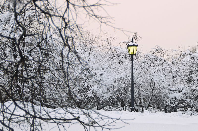 *** фото превью