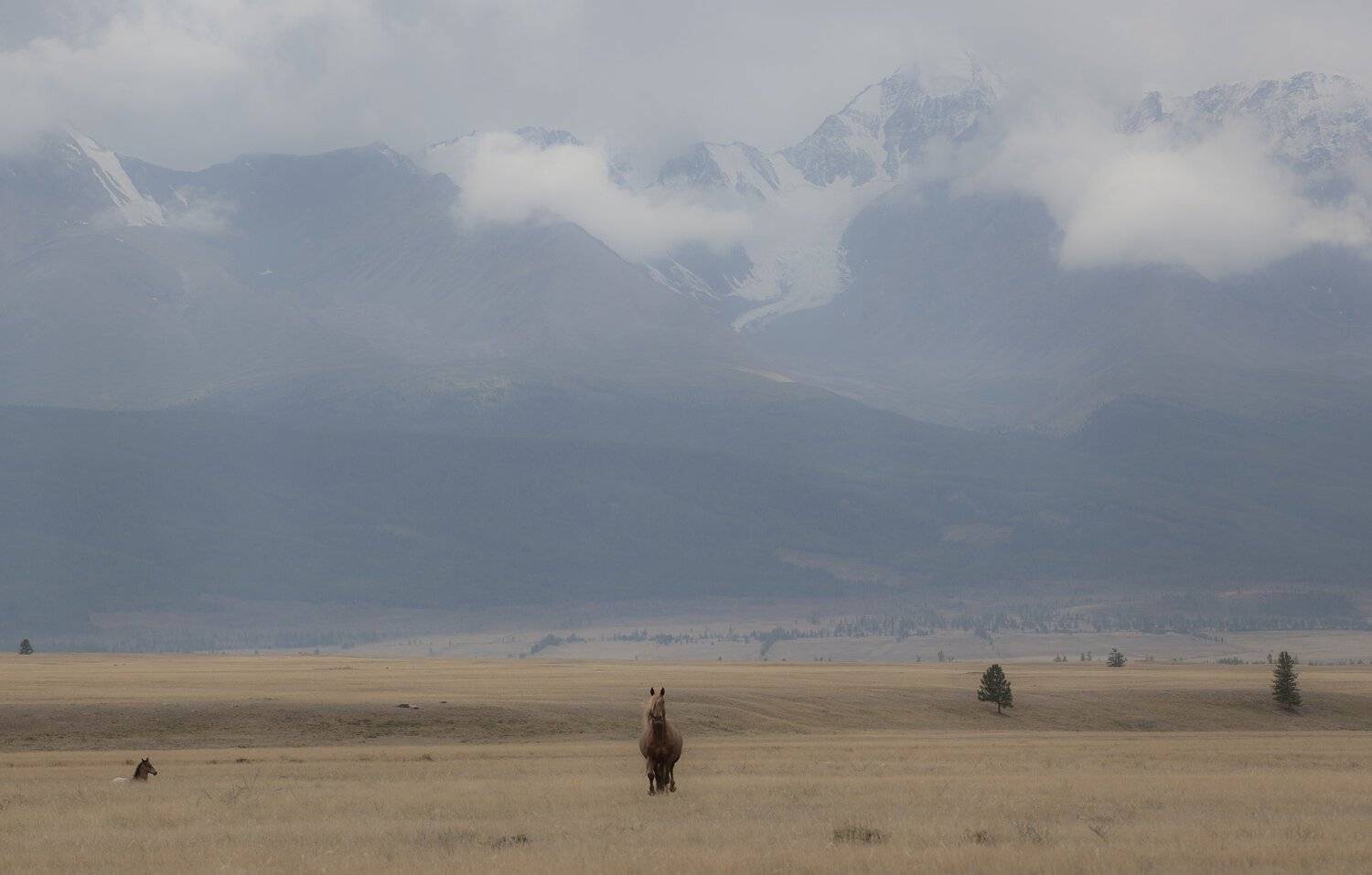 , Бахтин Вячеслав