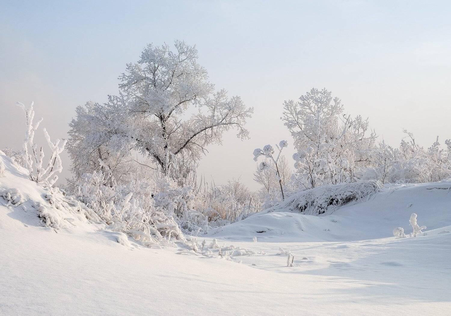 , Лещёнок Александр