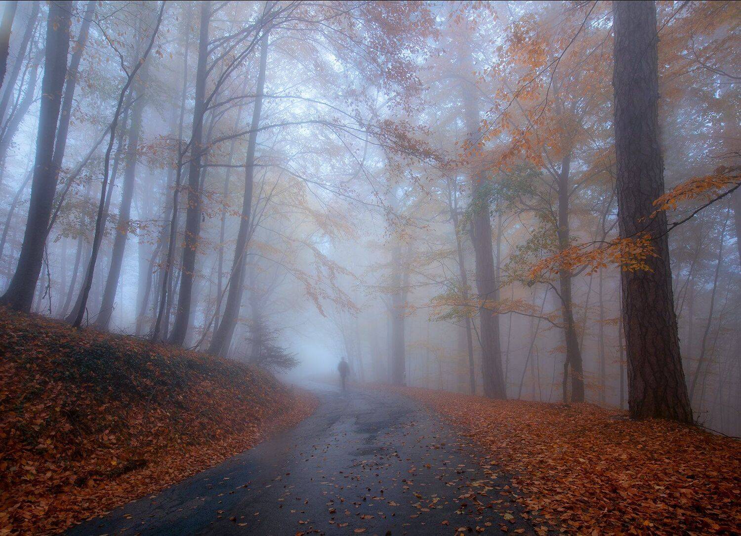 , Александр Костенко